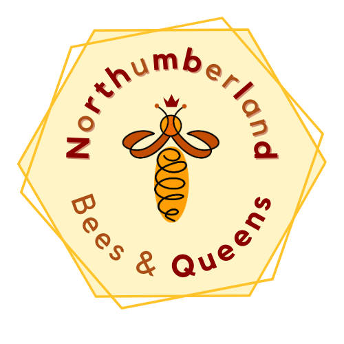 Northumberland Bees