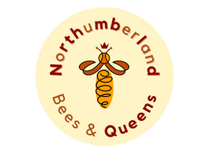 Northumberland Bees