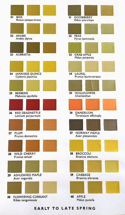 Bee Pollen - 100% Natural Canadian Bee Pollen