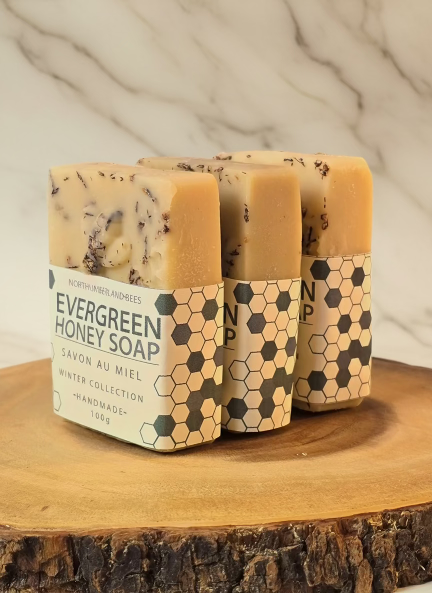 Evergreen Honey Soap - 2025 Winter Collection