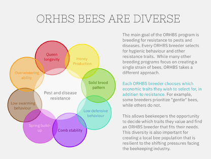 ORHBS Bees Are Diverse