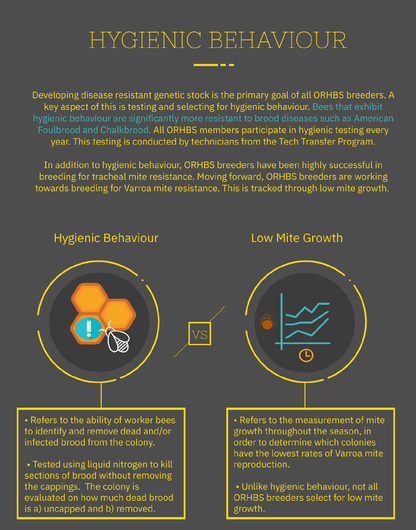 Hygienic Behaviour and Low Varroa Growth